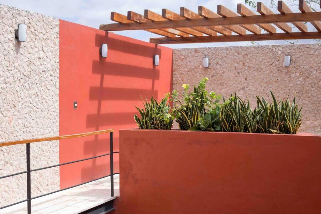 バリャドリッド Casona Xtabay, En El Centro De Valladolidヴィラ エクステリア 写真